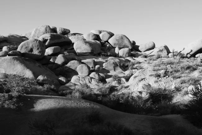Joshua Tree National Park – CA