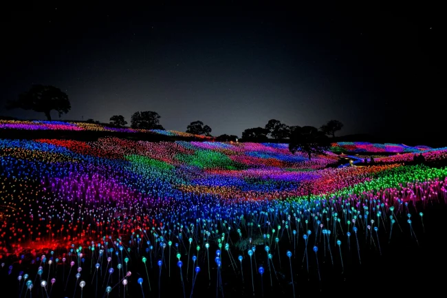 Sensorio – Paso Robles, CA